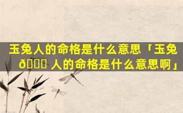 玉兔人的命格是什么意思「玉兔 🐘 人的命格是什么意思啊」